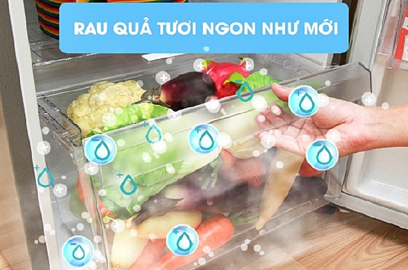 Lưu bản nháp tự động